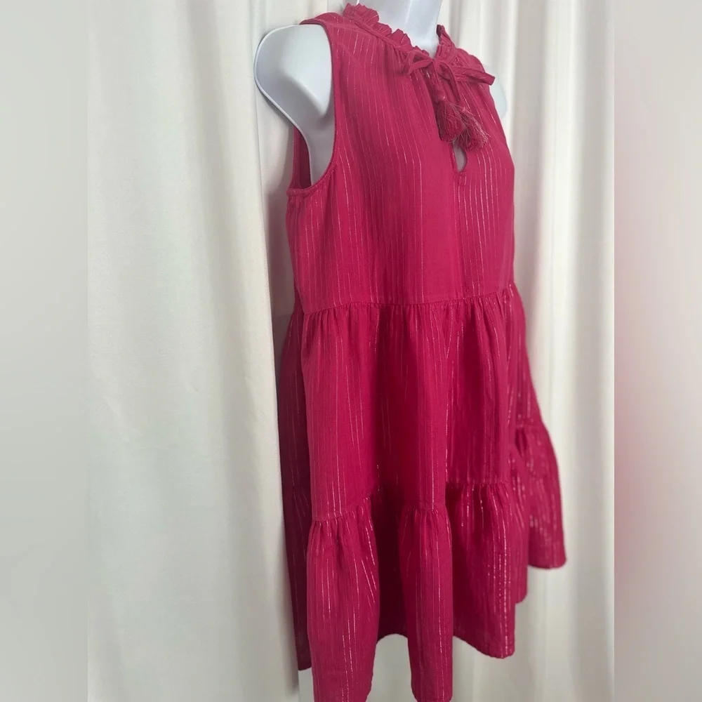 J.Crew Pink Tiered Sleeveless Dress w/ Tassel Ties | Size S (1132)